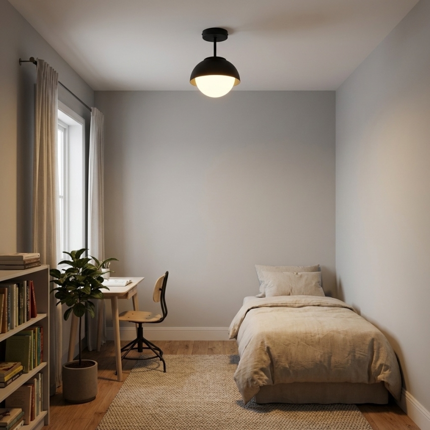 BRILAGI - Påmonteret loftlampe COSMO 1xE27/60W/230V sort