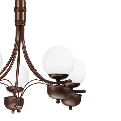 Brilagi - Pendel med kædeophæng COTTAGE 5xG9/40W/230V eg/hvid