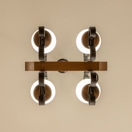 Brilagi - Pendel med kædeophæng QUEEN 4xE14/40W/230V bøg/valnød