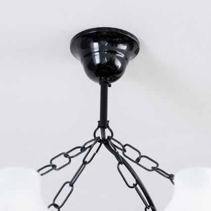 Brilagi - Pendel med kædeophæng QUEEN 8xE14/40W/230V bøg/valnød