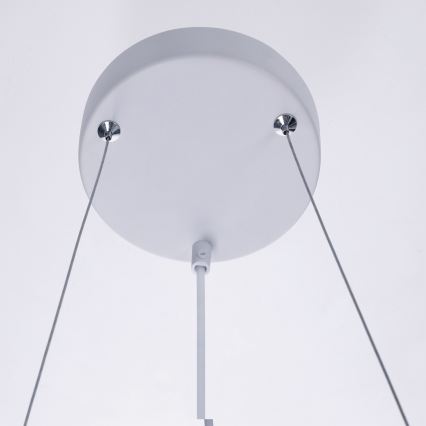 BRILAGI - Pendel på kabel SELE 4xGU10/30W/230V hvid