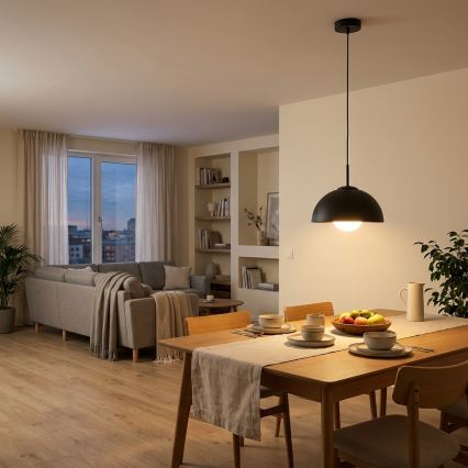 BRILAGI - Pendel på wire COSMO 1xE27/60W/230V Ø 30 cm sort