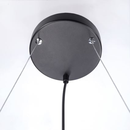 BRILAGI - Pendel på wire SELE 4xGU10/30W/230V sort