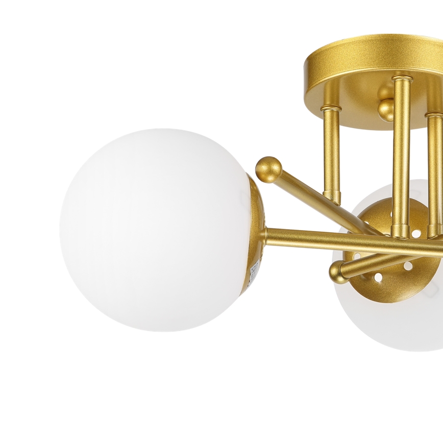 Brilagi - Plafond MALIVA 3xE14/15W/230V guld/hvid
