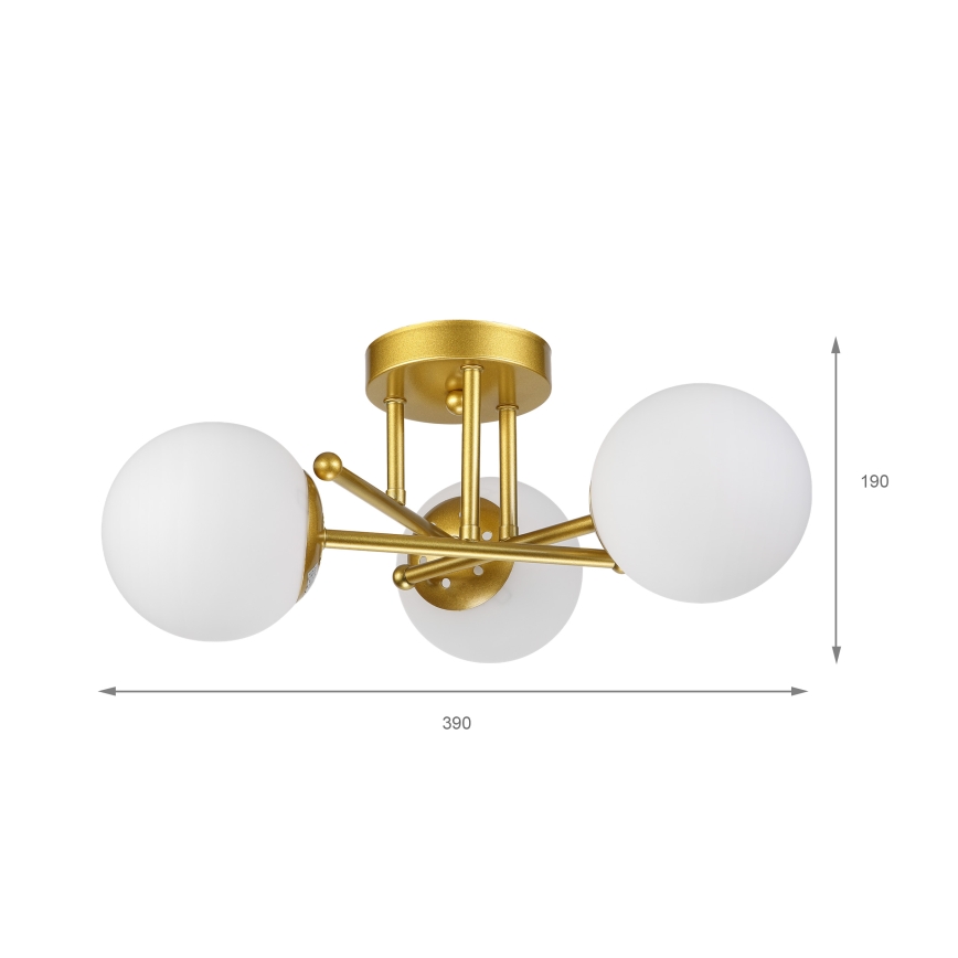 Brilagi - Plafond MALIVA 3xE14/15W/230V guld/hvid