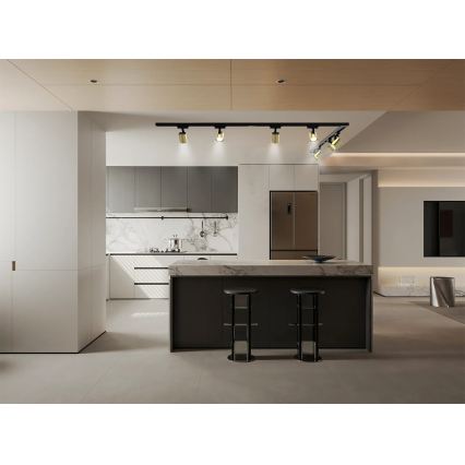 Brilagi - Skinnespot til skinnesystem HUSKY 8xGU10/10W/230V sort/guld