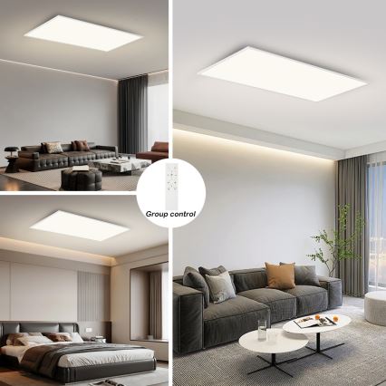 Brilagi - LED Dæmpbar loftlampe SLIMFRAME LED/80W/230V 120x60 cm 3000-6000K hvid + fjernbetjening