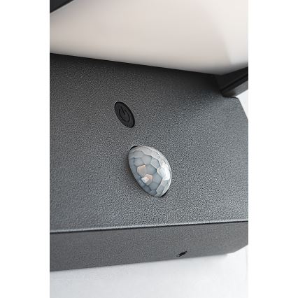 Brilagi - LED Soldrevet væglampe med bevægelses- og skumringssensor ANKLE LED/10W/3,7V 3000 mAh 4000K IP65 antracit