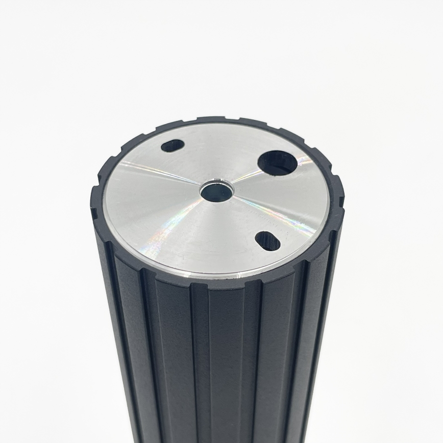 Brilagi - spotarmatur CRISPINA 1xGU10/10W/230V 20 cm sort