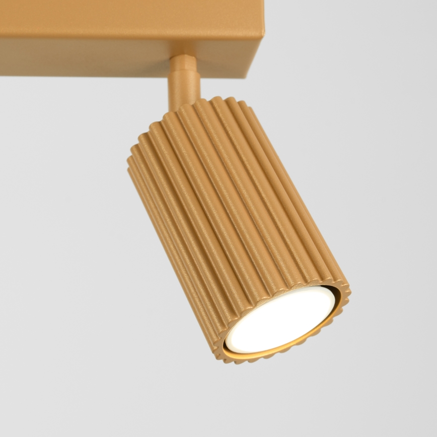 Brilagi - Spotlampe CRESTO 2xGU10/10W/230V guldfarvet