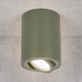 BRILAGI - Spotlampe MIA 1xGU10/30W/230V 100x80 mm mørkegrøn