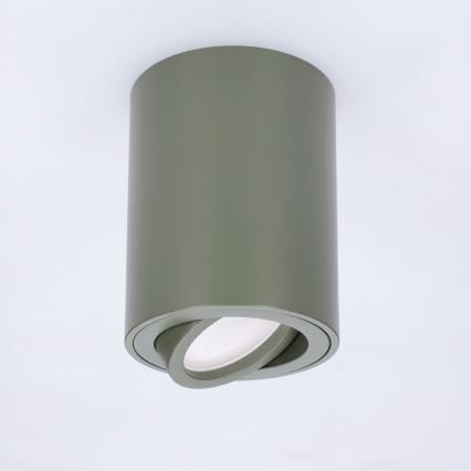 BRILAGI - Spotlampe MIA 1xGU10/30W/230V 100x80 mm mørkegrøn