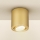 Brilagi - Spotlampe MIA 1xGU10/30W/230V 84x80 mm guldfarvet