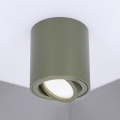 BRILAGI - Spotlampe MIA 1xGU10/30W/230V 84x80 mm mørkegrøn
