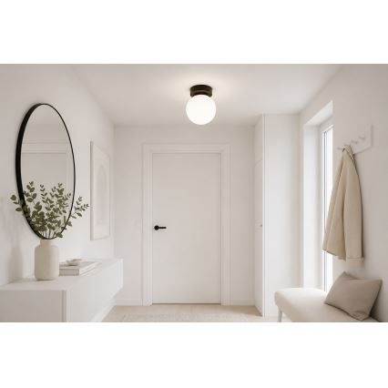 Brilagi - Spotlampe MILO 1xE27/60W/230V sort