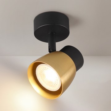 Brilagi - Spotlampe NUGGET 1xGU10/30W/230V sort/guld