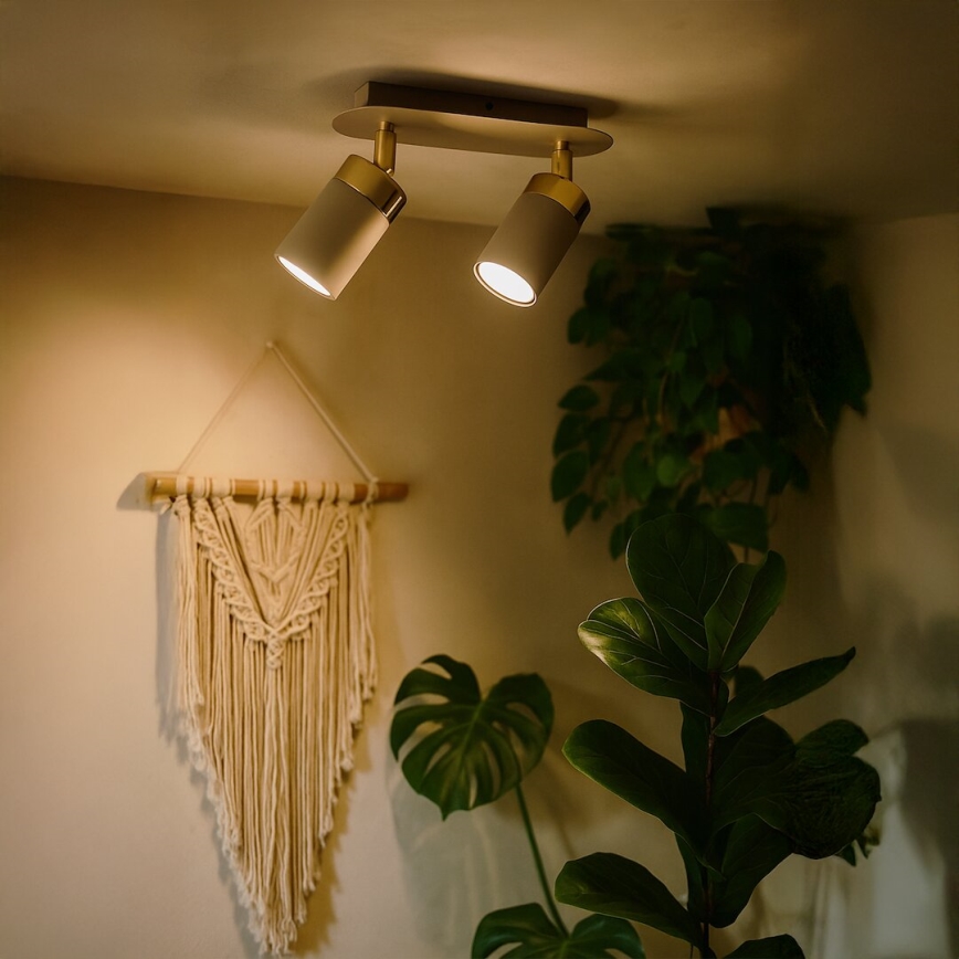 Brilagi - Spotlampe POKER 2xGU10/25W/230V beige/guldfarvet