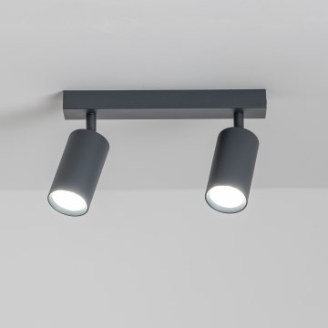 Brilagi - Spotlampe SELE 2xGU10/30W/230V antracit