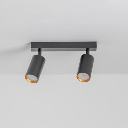 Brilagi - Spotlampe SELE 2xGU10/30W/230V sort/guldfarvet