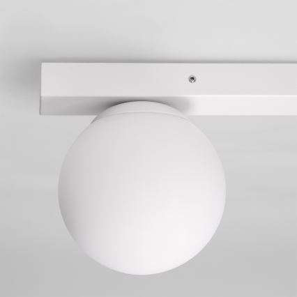 Brilagi - Spotlampe SELE BALL 1xGU10/30W/230V + 1xG9/10W hvid