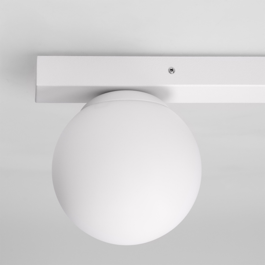 Brilagi - Spotlampe SELE BALL 1xGU10/30W/230V + 1xG9/10W hvid