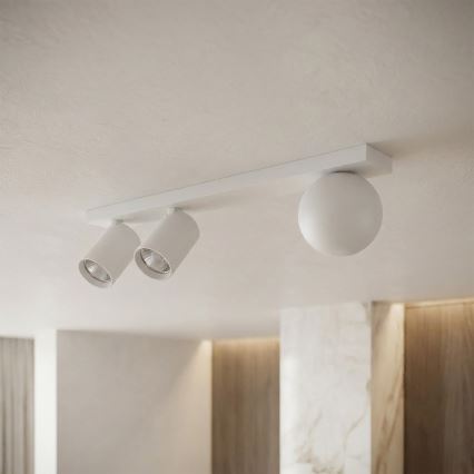 Brilagi - Spotlampe SELE BALL 2xGU10/30W/230V + 1xG9/10W hvid
