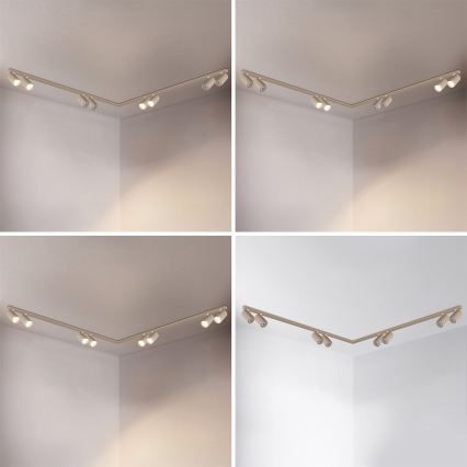 Brilagi - Spotlampe SELE LONG 8xGU10/30W/230V beige