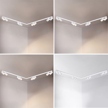Brilagi - Spotlampe SELE LONG 8xGU10/30W/230V hvid