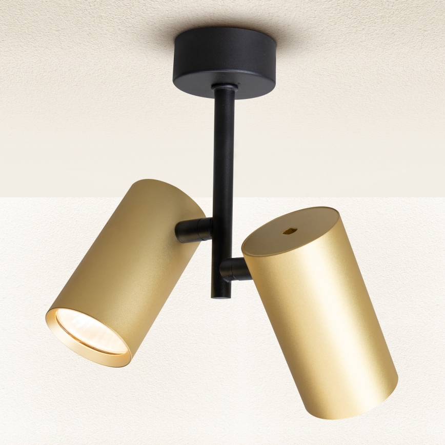 Brilagi - Spotlampe SELE VERTICAL 2xGU10/30W/230V sort/guldfarvet