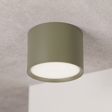 BRILAGI - Spotlampe SMOOTH 1xGX53/15W/230V 60x82 mm mørkegrøn