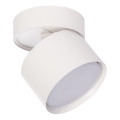 Brilagi - Spotlampe SMOOTH TILTY 1xGX53/15W/230V hvid
