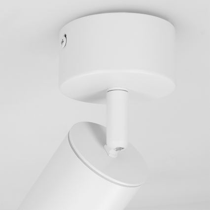 Brilagi - Spotlampe til badeværelse SELE 1xGU10/30W/230V IP44 hvid