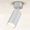 Brilagi - Spotlampe til badeværelse SELE 1xGU10/30W/230V IP44 sølvfarvet