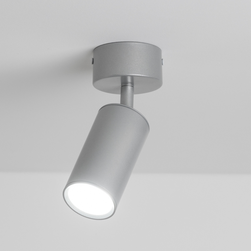 Brilagi - Spotlampe til badeværelse SELE 1xGU10/30W/230V IP44 sølvfarvet