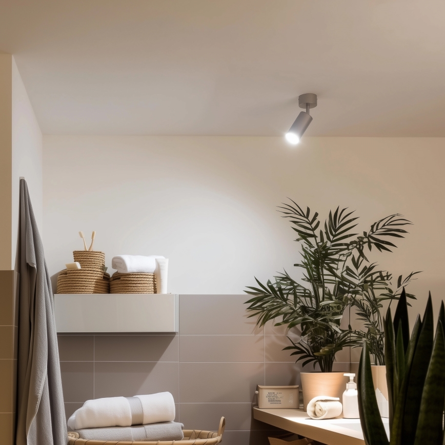 Brilagi - Spotlampe til badeværelse SELE 1xGU10/30W/230V IP44 sølvfarvet
