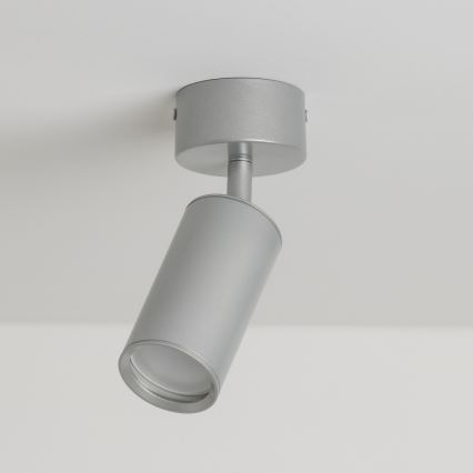 Brilagi - Spotlampe til badeværelse SELE 1xGU10/30W/230V IP44 sølvfarvet