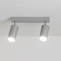Brilagi - Spotlampe til badeværelse SELE 2xGU10/30W/230V IP44 sølvfarvet