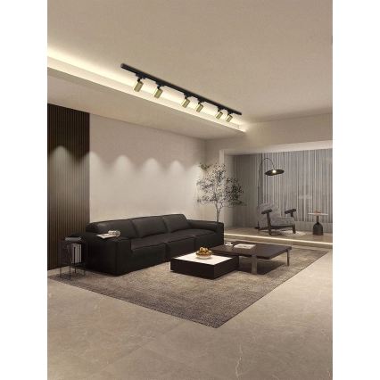 Brilagi - Spotlampe til HUSKY skinnesystem 6xGU10/10W/230V sort/guld