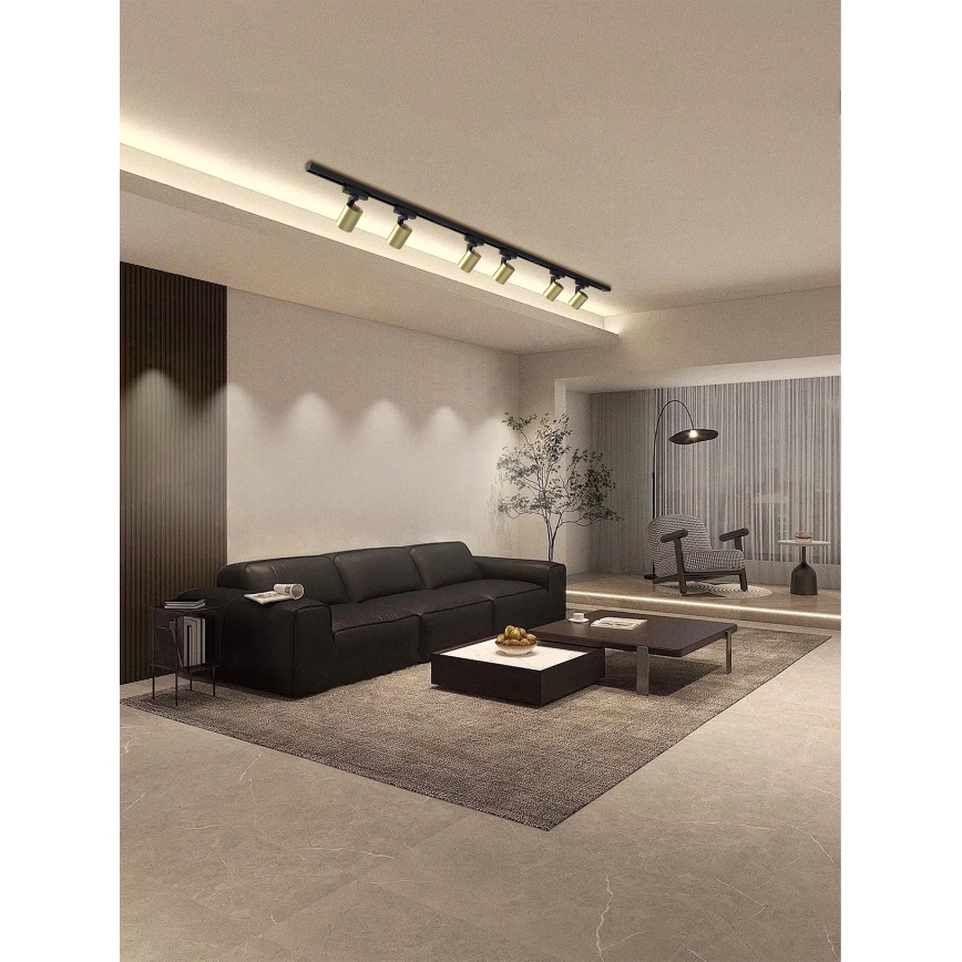 Brilagi - Spotlampe til HUSKY skinnesystem 6xGU10/10W/230V sort/guld