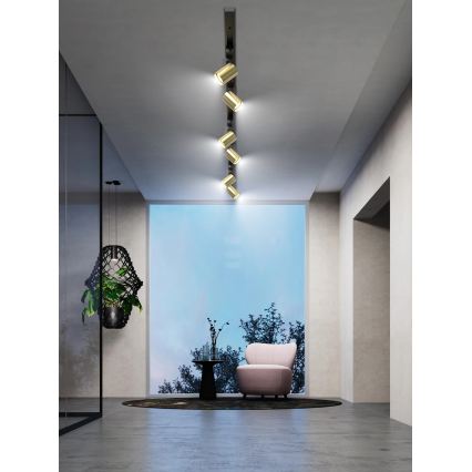 Brilagi - Spotlampe til HUSKY skinnesystem 6xGU10/10W/230V sort/guld