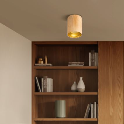 Brilagi - Spotlampe TRINE 1xGU10/30W/230V egetræsdekor