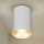 Brilagi - Spotlampe TRINE 1xGU10/30W/230V hvid/guldfarvet
