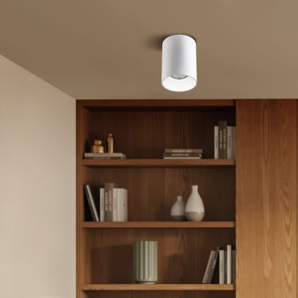 Brilagi - Spotlampe TRINE 1xGU10/30W/230V hvid