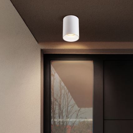 Brilagi - Spotlampe TRINE 1xGU10/30W/230V hvid