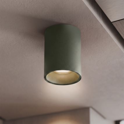 BRILAGI - Spotlampe TRINE 1xGU10/30W/230V mørkegrøn