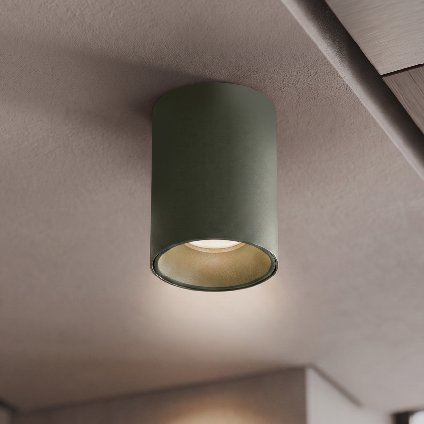 BRILAGI - Spotlampe TRINE 1xGU10/30W/230V mørkegrøn