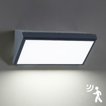 Brilagi - TRIANGLE LED udendørs væglampe med sensor, 20W/230V, antracit, IP65