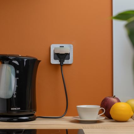 Brilagi - Udendørs indbygget gulv socket IP55 mat krom rektangulær