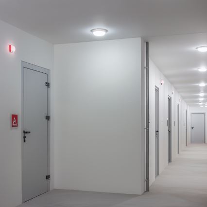 Brilagi - Udendørs LED loftlampe LED/13W/230V diameter 17 cm IP54
