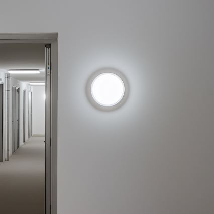 Brilagi - Udendørs LED loftlampe LED/13W/230V diameter 17 cm IP54